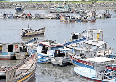 $1.7 millones en multas aplicadas por pesca ilegal