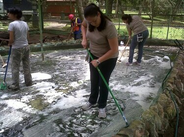 Voluntarios rehabilitan jaula para jaguares en el Parque Summit