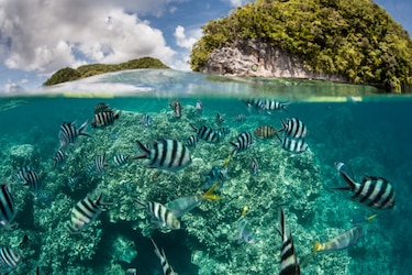 Our Ocean 2023: el futuro de los océanos se debate en Panamá