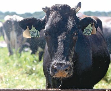 El rol de la trazabilidad en la agricultura moderna
