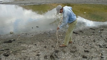Muerte de peces afecta a pescadores artesanales de tres corregimientos santeños