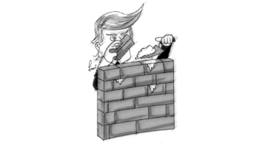 Expertos en seguridad ven inútil el muro de Trump