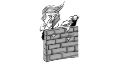 Expertos en seguridad ven inútil el muro de Trump