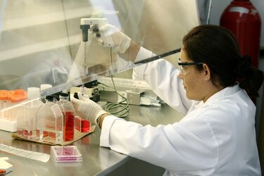 Facultad de Farmacia inicia de manera voluntaria proceso de autoevaluación 
