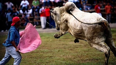 Prohíben llevar neveras portátiles con bebidas a los palcos en el Festival de la Mejorana