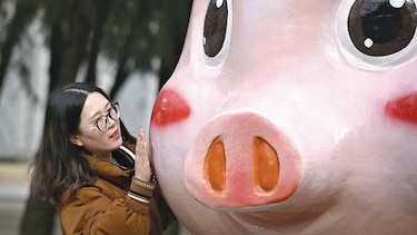 Imagen porcina mueve mercado de lujo en China