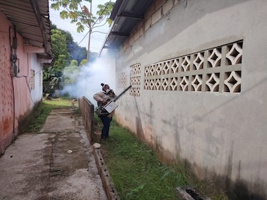 Dengue en Panamá: 20,581 casos y 38 muertes en lo que va de 2024