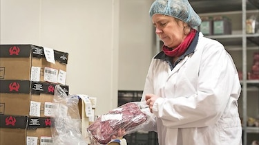 Escándalo de carne equina llega al banquillo