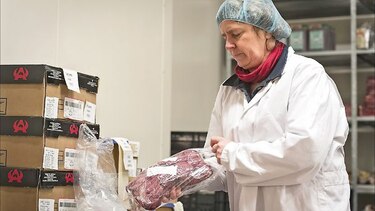 Escándalo de carne equina llega al banquillo