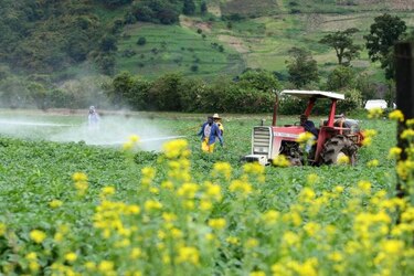 Expertos creen que agricultores A. Latina precisan más financiación