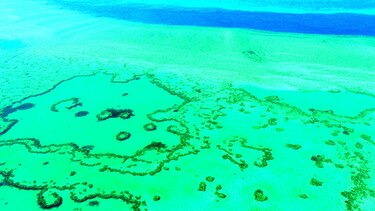 Se debilita zona coral de Australia