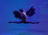 Ballet Nacional de Panamá presenta ‘El lago de los cisnes’ en Brasil