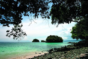 Intervención en la isla de Coiba crea discrepancias