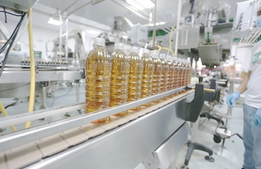 Plantean acciones para fomentar exportaciones y captar más inversión