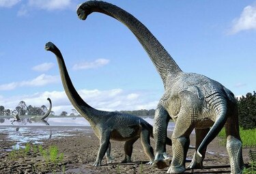 Descubren nuevo dinosaurio de cuello largo en Australia