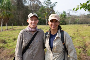 Entre el potrero y el bosque: la lucha por conservar al jaguar en Panamá