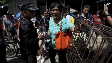 Activista salva a 400 animales del Festival de Carne de Perro de Yulin