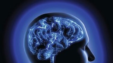 Parte del cerebro que reconoce caras crece hasta la adultez