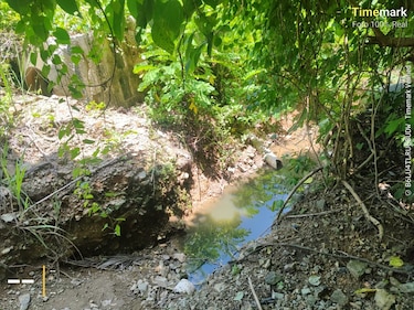 Alerta en Isla Contadora: Miambiente sanciona obras y detecta manejo irregular de residuos