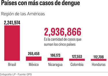 ‘Un año con cifra récord de casos de dengue’ en las Américas: OPS