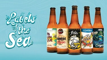 ¡Hay otros peces en el agua!