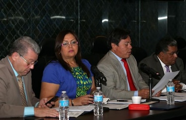 Aprueban en primer debate proyecto sobre escoltas