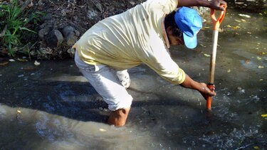 Los Santos: Aumenta el número de fincas sin agua
