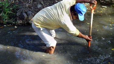 Los Santos: Aumenta el número de fincas sin agua
