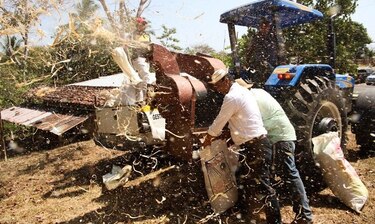 Productores piden ayuda para continuar ‘alimentando al pueblo panameño’
