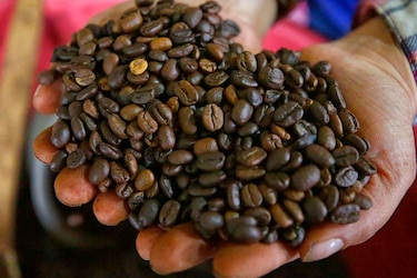 Los aranceles de Estados Unidos amenazan las exportaciones agrícolas de Latinoamérica