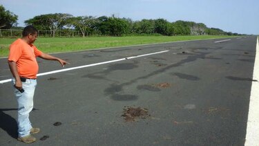 Ganado impide aterrizaje de una avioneta en Guararé