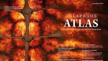 Las imágenes de las fascinantes especies del nuevo atlas de las islas Galápagos