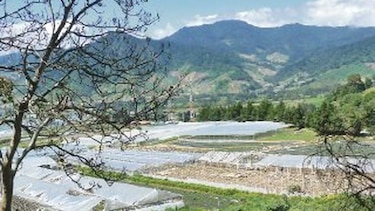 Las fábricas de alimentos sanos