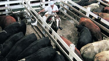 Producción de carne de Argentina trepa 10.5%