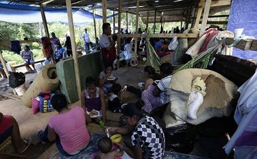 Muere niña de cinco años por picadura de alacrán en Las Mañanitas