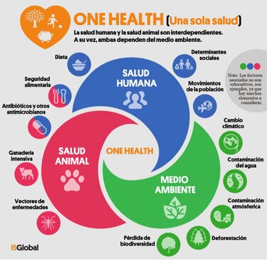Nuestro ambiente, nuestra salud: un vínculo inquebrantable