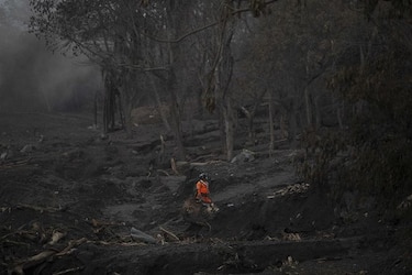 La OMS evalúa impacto en salud por tragedia de volcán en Guatemala