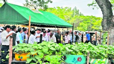 Sector agropecuario solicitará $155 millones al Gobierno