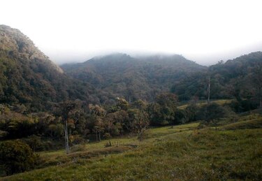Incendio ingresa a Parque La Amistad, que comparten Costa Rica y Panamá