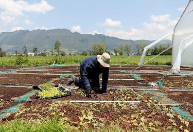 Experto: Proyectos en Colombia y México, ejemplos de inversión verde