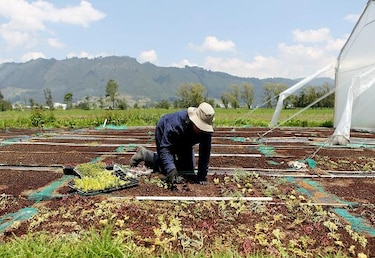 Experto: Proyectos en Colombia y México, ejemplos de inversión verde
