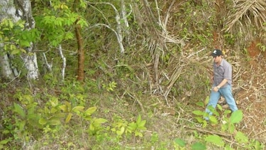 Se desploma cerca de reserva de Buena Vista en Azuero