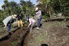 Las OBC: guardianas del ambiente desde las comunidades