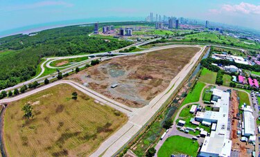 Obra en Juan Díaz arrasaría con manglares