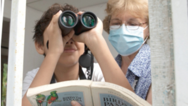 Conferencias en Facebook sobre educación ambiental