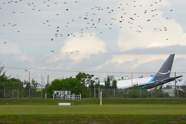Al menos cinco muertos tras estrellarse un avión de Amazon cerca del aeropuerto de Miami