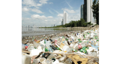 Proponen prohibir envases de ‘foam’ para alimentos 