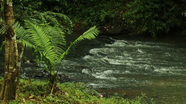 Hoy por hoy: Río Indio: gestión que marca el estándar