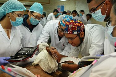 Aprueban 70 millones de dólares para nueva Facultad de Medicina de la Universidad de Panamá