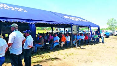 Cartera agropecuaria en Chiriquí crece 11.13%